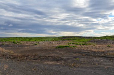 Arka planda İzlanda 'daki çimen manzarası