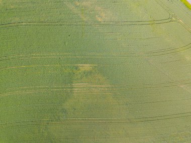 Avrupa 'daki tarım alanının genel görünümü.