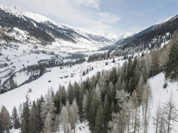 Flygfoto Snötäckta Granar — Stockfoto