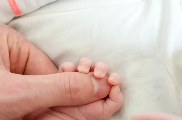 Hand Van Pasgeboren Baby Die Vinger Van Een Mannelijke Volwassene — Stockfoto