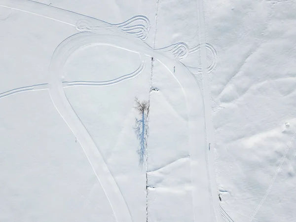 Flygfoto Enskilda Isolerade Träd Snötäckt Äng — Stockfoto