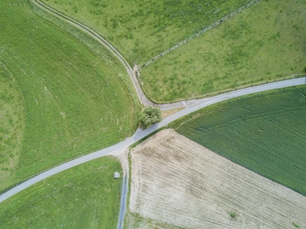 Luftaufnahme Der Straße Grünen Feldern — Stockfoto