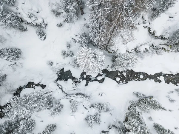 Nehir Kıyısının Havadan Görünüşü Ormanı Sakin Bir Manzarayla Kapladı — Stok fotoğraf