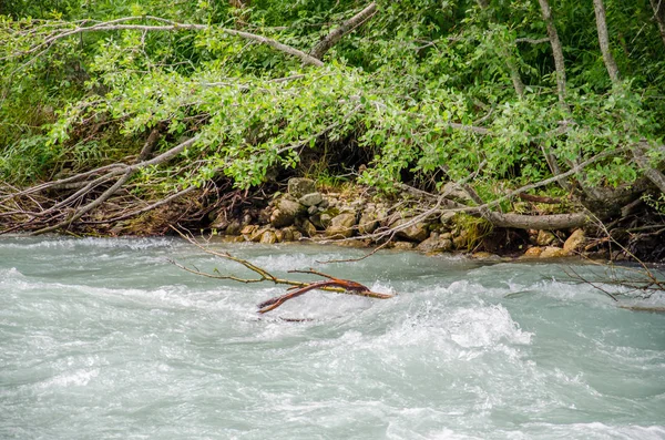 Wilder Fluss Der Rhone Morsch Alpinen Tal Der Goms Wallis — Stockfoto