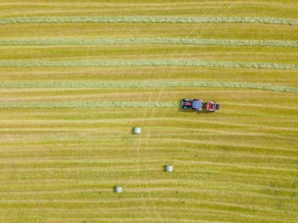 Aerial View Tractor Harvesting Green Hay Meadow — Stockfoto