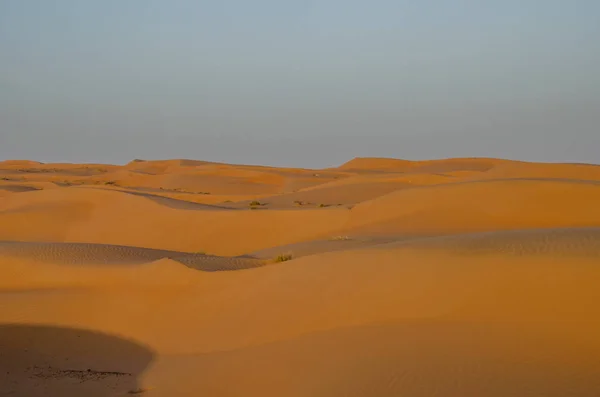 Sand Dunes Wind Pattern Wahiba Sands Desert Evening — Stock Photo, Image