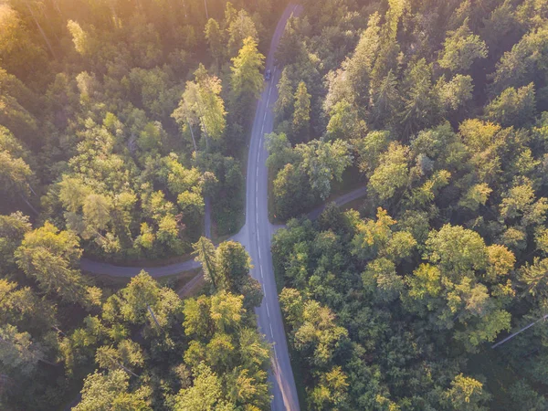 Flygfoto Väg Genom Skog Schweiz — Stockfoto