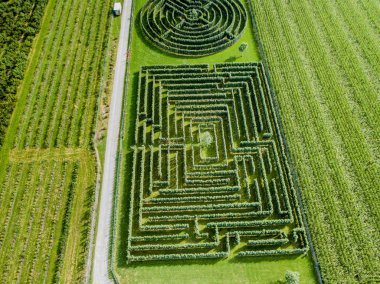 Yeşil çalılıklar labirent, çit labirenti