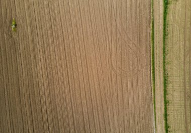 Lastik izleri olan hasat edilen buğday tarlasının havadan görünüşü