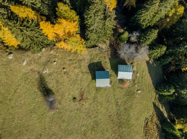 İsviçre 'nin kırsal kesimindeki çiftlik evi ve ahırların havadan görünüşü. Organik tarım kavramı.