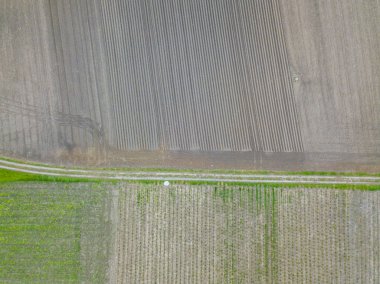 Avrupa 'daki tarım alanının genel görünümü.