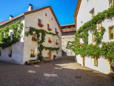 Binaların cephelerinde yoğun bir sarmaşık yetişiyor.