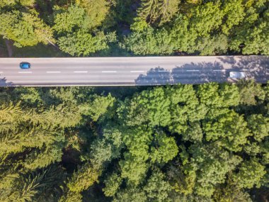 İsviçre 'deki yoğun yeşil ormandan geçen karayolu köprüsünün havadan görünüşü.