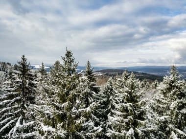 Kardaki köknar ağaçlarının hava manzarası kışı kaplamıştı.