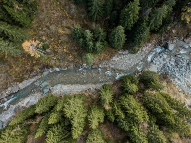 İsviçre 'deki Alp Vadisi' ndeki ormandan akan nehrin havadan görünüşü