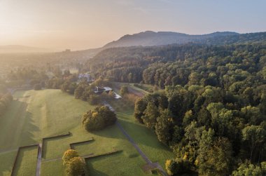 Sonbaharda sarı ağaçlarının havadan görünümü
