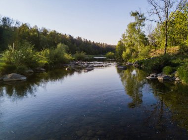 İsviçre 'de sakin göl kıyısında ağaçlar