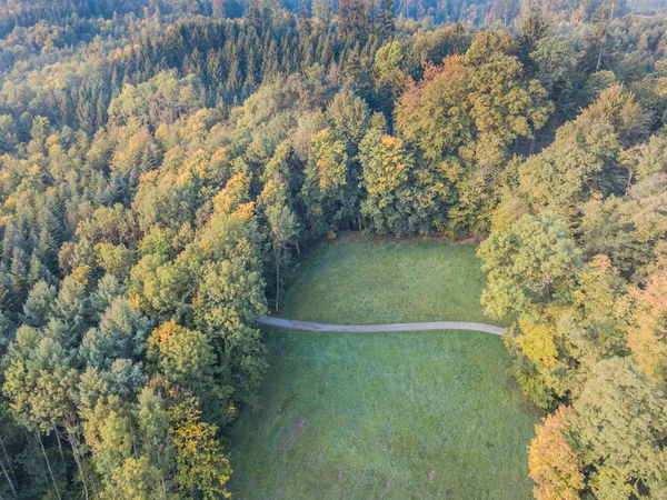 Vista Aérea Caminho Pela Floresta Suíça — Fotografia de Stock