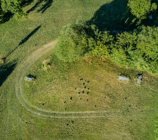 上記からスイスの森林やオープンエリアの空中ビュー 穏やかな田園地帯 — ストック写真