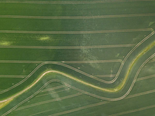 Luftaufnahme Eines Gekrümmten Weges Durch Landwirtschaftliches Feld Der Schweiz — Stockfoto