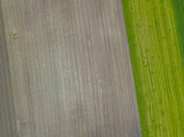 Luftaufnahme Des Landwirtschaftlichen Feldes — Stockfoto