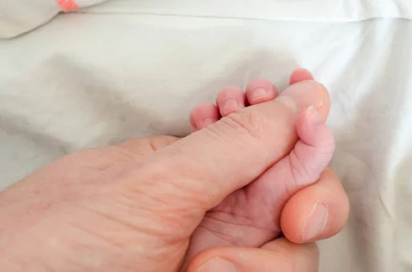 Mano Del Bebé Recién Nacido Sosteniendo Dedo Del Adulto Masculino — Foto de Stock