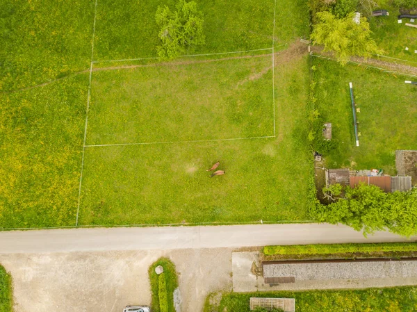 Overhead view of horses on a green pasture.