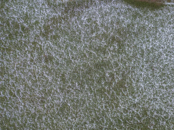 Luchtfoto Van Het Bos Tijdens Winter Met Sneeuw Bedekte Grond — Stockfoto