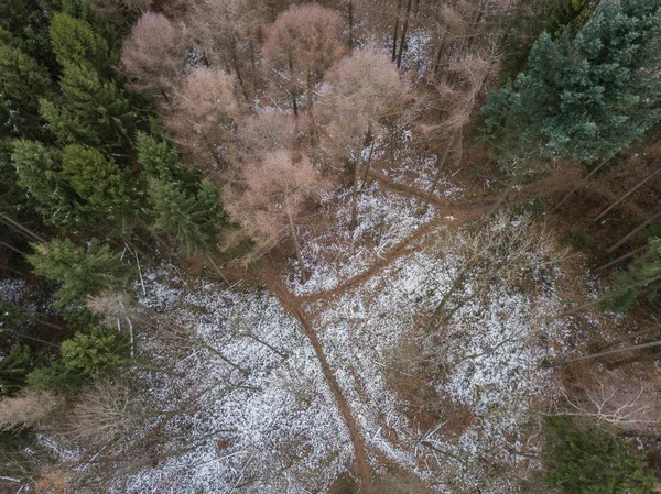 Aerial View Trees Covered Hoarfrost Cold Winter Day Beautiful Patterns — Stock Photo, Image