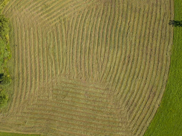 Veduta Generale Del Settore Agricolo Europa — Foto Stock