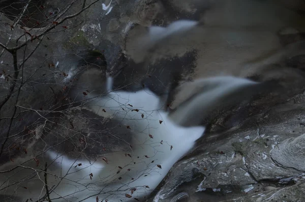 Fließender Fluss Wald Lange Belichtungszeit — Stockfoto