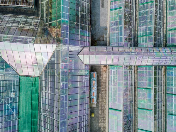 Aerial View Greenhouse Reflection Glass — 스톡 사진