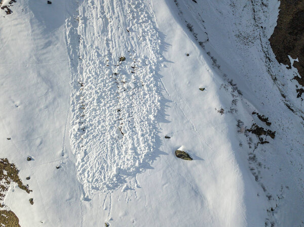 Aerial view of snow avalanche on mountain slope.