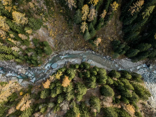 Aerial View Gorge Mountain Area River Forest — Stock Photo, Image