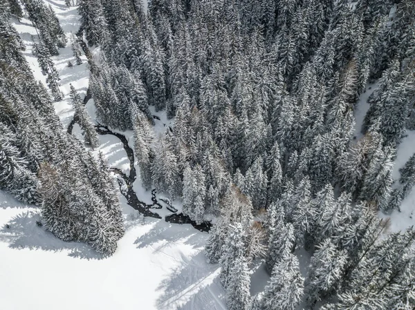 Vista Aérea Del Bosque Cubierto Nieve Del Río Thorugh Escena — Foto de Stock