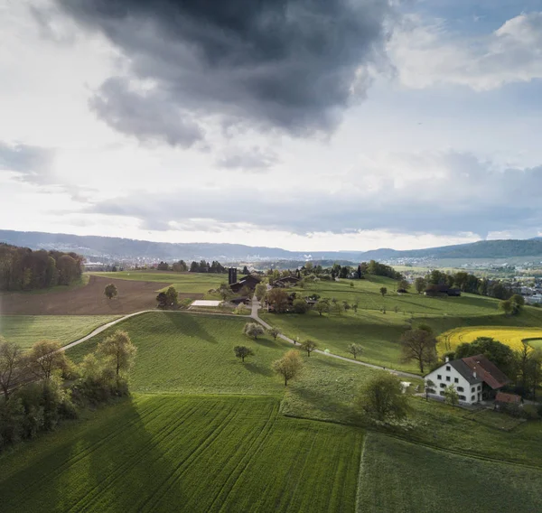 Vista Aérea Bosque Área Abierta Suiza Desde Arriba Paisaje Tranquilo — Foto de Stock