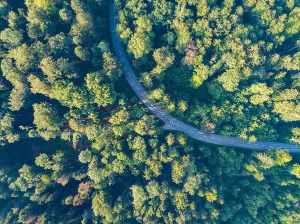 Pemandangan Udara Jalan Melalui Hutan Swiss — Foto Stok Gratis