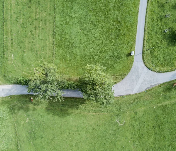 Luftaufnahme Der Straße Grünen Feldern — Stockfoto