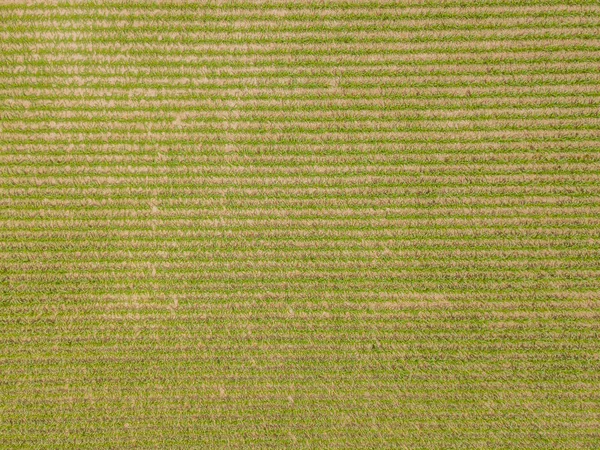 Luftaufnahme Eines Sonnenblumenfeldes Der Schweiz Viele Pflanzen Auf Landwirtschaftlichem Feld — Stockfoto