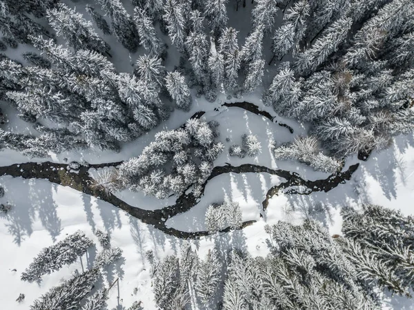 Vista Aérea Rio Thorugh Floresta Coberta Neve Cena Calma — Fotografia de Stock