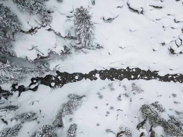 Vista Aérea Del Bosque Cubierto Nieve Del Río Thorugh Escena —  Fotos de Stock