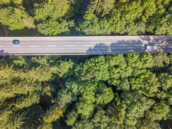 Vista Aérea Del Puente Carretera Través Denso Bosque Verde Suiza —  Fotos de Stock