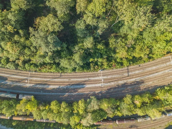 Aerial View Rail Tracks Forest — 스톡 사진