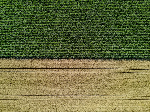 Vista Geral Campo Agrícola Europa — Fotografia de Stock