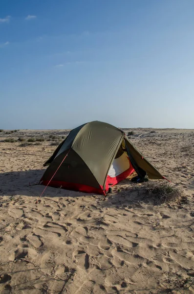 Divoké Kempování Písečné Pláži Ománu — Stock fotografie