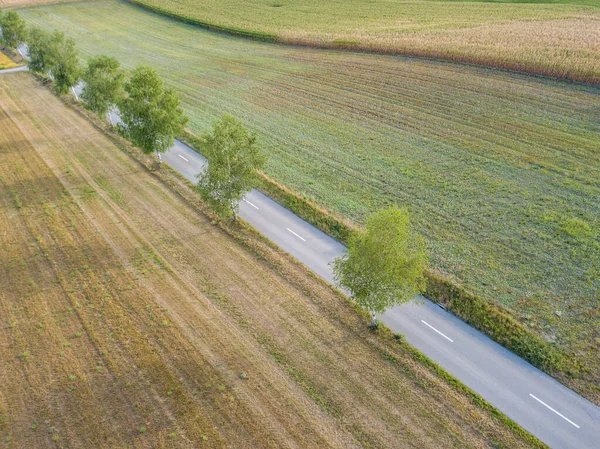 Luftaufnahme Einer Straße Mit Bäumen Entlang — Stockfoto