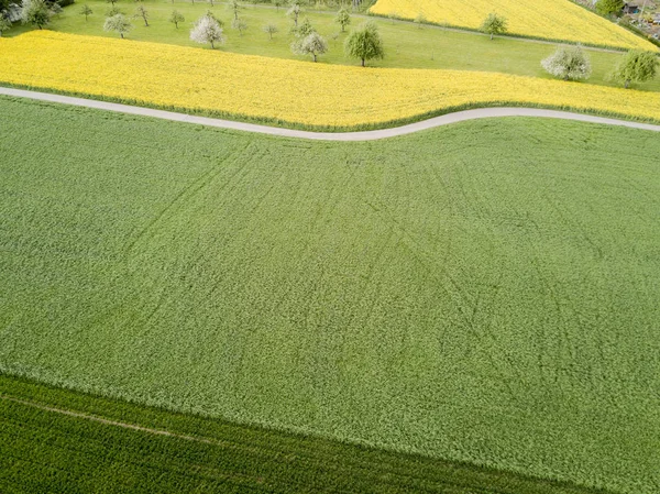 Vista Aérea Dos Campos Cultivo — Fotografia de Stock