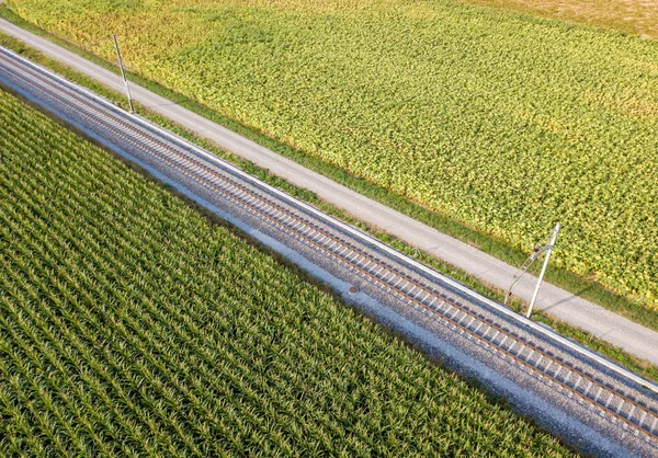 Aerial View Straight Railroad Tracks Farmland — Stock Photo, Image
