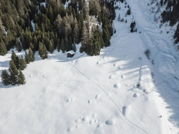 Flygfoto Granar Snötäckt Vinterlandskap — Stockfoto