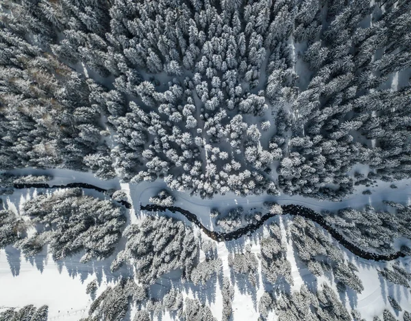 Vista Aérea Del Bosque Cubierto Nieve Del Río Thorugh Escena — Foto de Stock